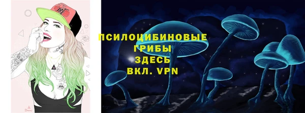 спайс Баксан