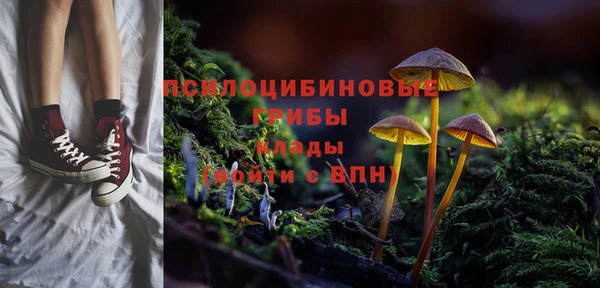 спайс Баксан